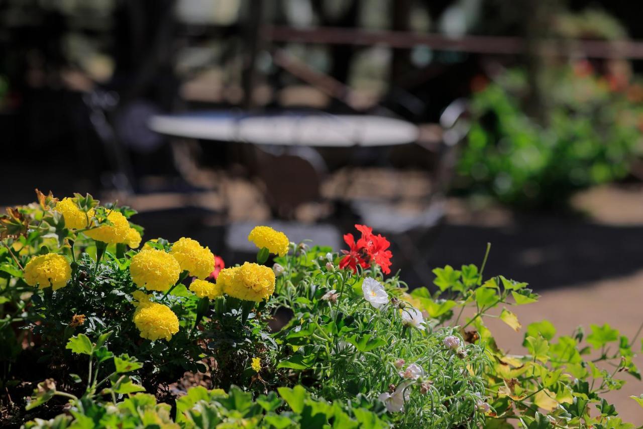 Farm stay Guarnaschelli
