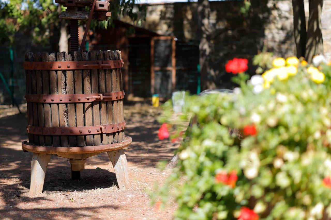 Guarnaschelli Farm stay Scandicci